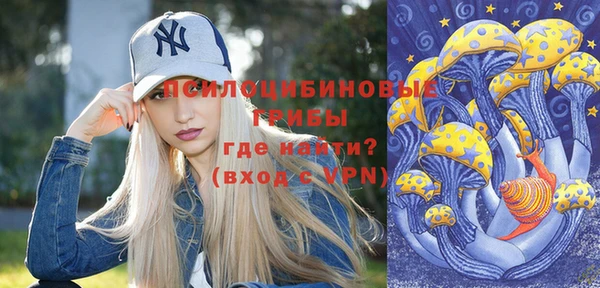 альфа пвп Горнозаводск