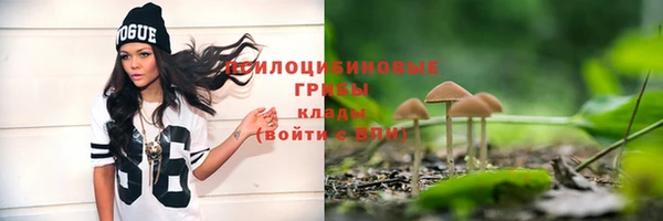 альфа пвп Горнозаводск