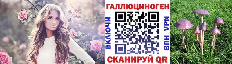 Купить где  Унеча  Галлюциногенные грибы Magic Shrooms 
